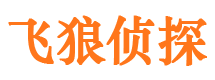 洛龙市侦探公司